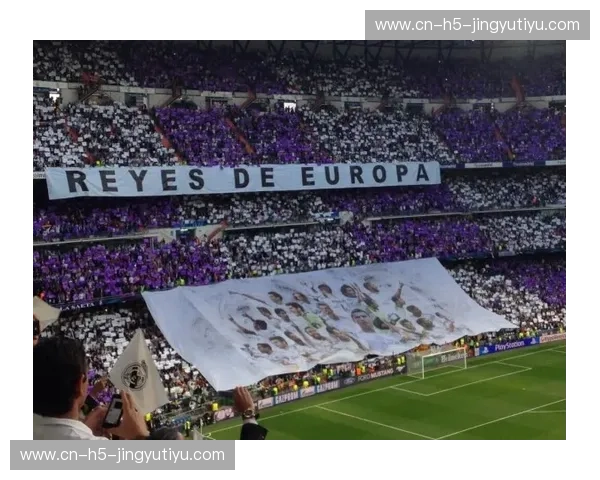 红色风暴席卷安联：拜仁慕尼黑与汉诺威96的绿茵较量